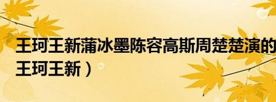 王珂王新蒲冰墨陈容高斯周楚楚演的电视剧（王珂王新）