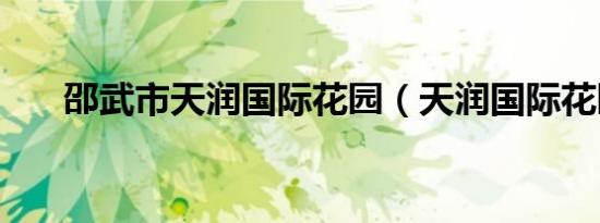 邵武市天润国际花园（天润国际花园）