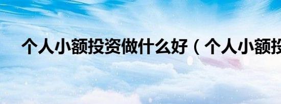 个人小额投资做什么好（个人小额投资）