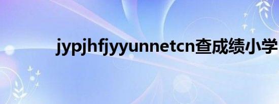 jypjhfjyyunnetcn查成绩小学