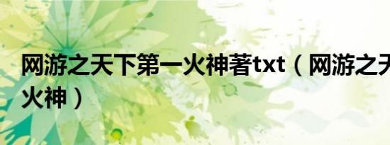网游之天下第一火神著txt（网游之天下第一 火神）