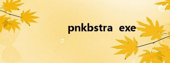 pnkbstra  exe