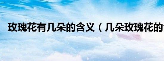 玫瑰花有几朵的含义（几朵玫瑰花的含义）