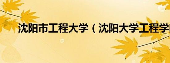 沈阳市工程大学（沈阳大学工程学院）