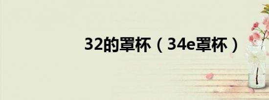 32的罩杯（34e罩杯）