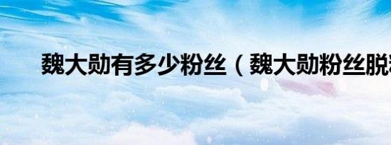 魏大勋有多少粉丝（魏大勋粉丝脱粉）