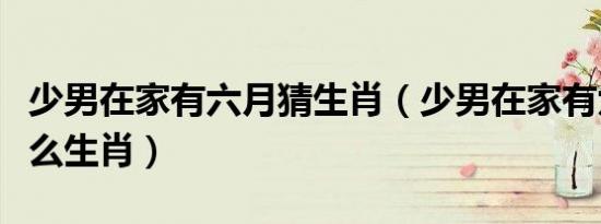 少男在家有六月猜生肖（少男在家有六月是什么生肖）