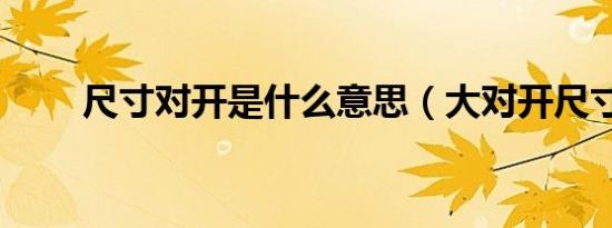 尺寸对开是什么意思（大对开尺寸）