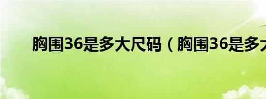 胸围36是多大尺码（胸围36是多大）