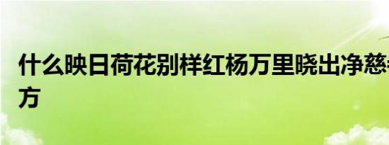 什么映日荷花别样红杨万里晓出净慈寺送林子方