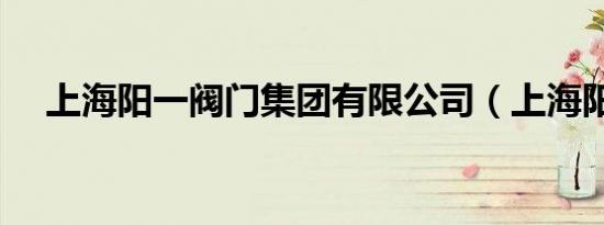 上海阳一阀门集团有限公司（上海阳一）