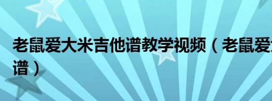 老鼠爱大米吉他谱教学视频（老鼠爱大米吉他谱）