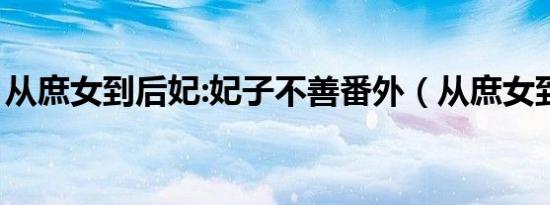 从庶女到后妃:妃子不善番外（从庶女到后妃）