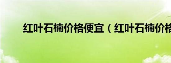 红叶石楠价格便宜（红叶石楠价格）