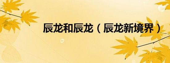 辰龙和辰龙（辰龙新境界）