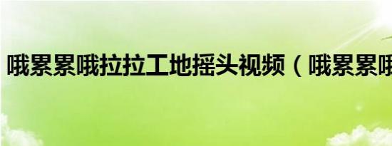 哦累累哦拉拉工地摇头视频（哦累累哦拉拉）