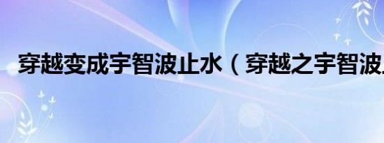 no more show字幕 百度网盘