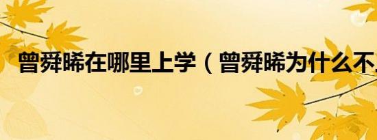 曾舜晞在哪里上学（曾舜晞为什么不上学）