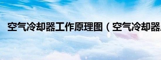 空气冷却器工作原理图（空气冷却器原理）