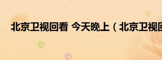北京卫视回看 今天晚上（北京卫视回看）