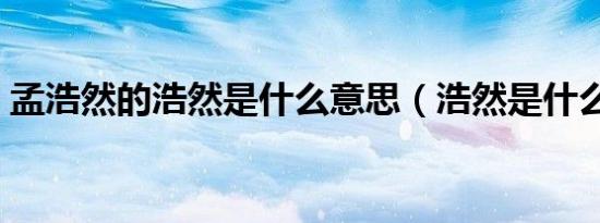 孟浩然的浩然是什么意思（浩然是什么意思）