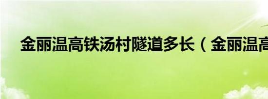 金丽温高铁汤村隧道多长（金丽温高铁）