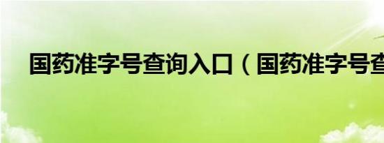 国药准字号查询入口（国药准字号查询）