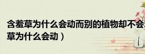 含羞草为什么会动而别的植物却不会动（含羞草为什么会动）