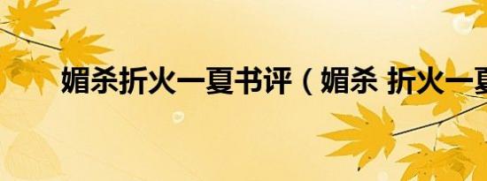 媚杀折火一夏书评（媚杀 折火一夏）