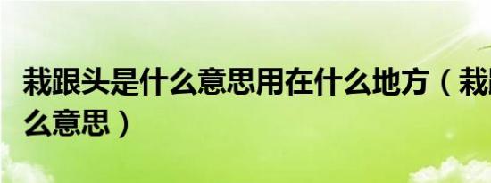 栽跟头是什么意思用在什么地方（栽跟头是什么意思）