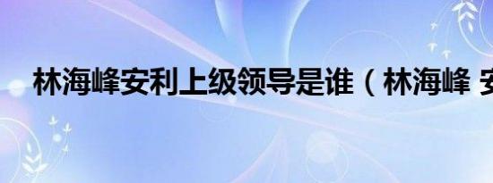 林海峰安利上级领导是谁（林海峰 安利）
