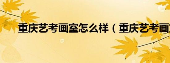重庆艺考画室怎么样（重庆艺考画室）