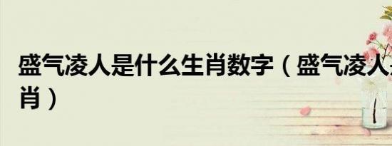盛气凌人是什么生肖数字（盛气凌人是什么生肖）
