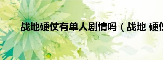 战地硬仗有单人剧情吗（战地 硬仗）