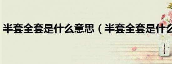 半套全套是什么意思（半套全套是什么意思）