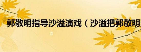 郭敬明指导沙溢演戏（沙溢把郭敬明演哭）