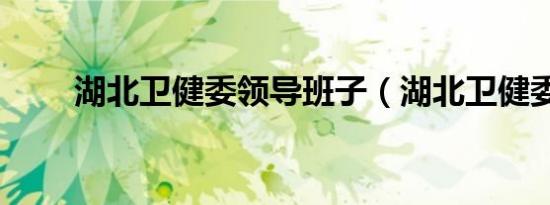 湖北卫健委领导班子（湖北卫健委）
