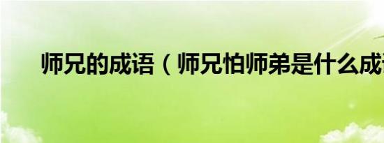 师兄的成语（师兄怕师弟是什么成语）