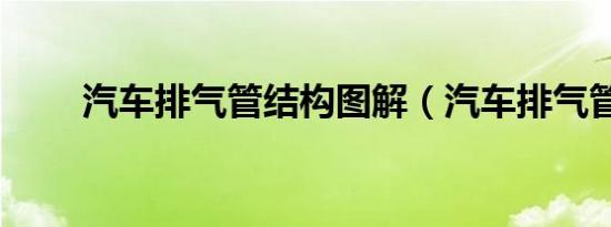 海里陌陌是什么东西（陌陌是什么东西）