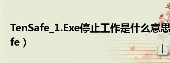 TenSafe_1.Exe停止工作是什么意思（tensafe）