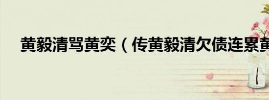 黄毅清骂黄奕（传黄毅清欠债连累黄奕）
