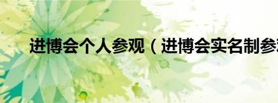 进博会个人参观（进博会实名制参观）