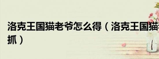洛克王国猫老爷怎么得（洛克王国猫老大在哪抓）