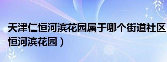 天津仁恒河滨花园属于哪个街道社区（天津仁恒河滨花园）