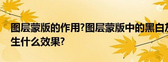 图层蒙版的作用?图层蒙版中的黑白灰分别产生什么效果?