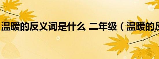 温暖的反义词是什么 二年级（温暖的反义词）