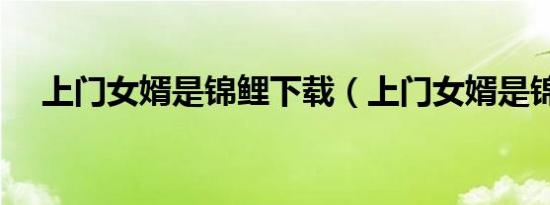 上门女婿是锦鲤下载（上门女婿是锦鲤）