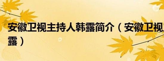 安徽卫视主持人韩露简介（安徽卫视主持人韩露）