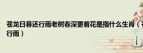 苍龙日暮还行雨老树春深更着花是指什么生肖（苍龙日暮还行雨）