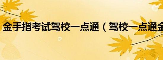 金手指考试驾校一点通（驾校一点通金手指）